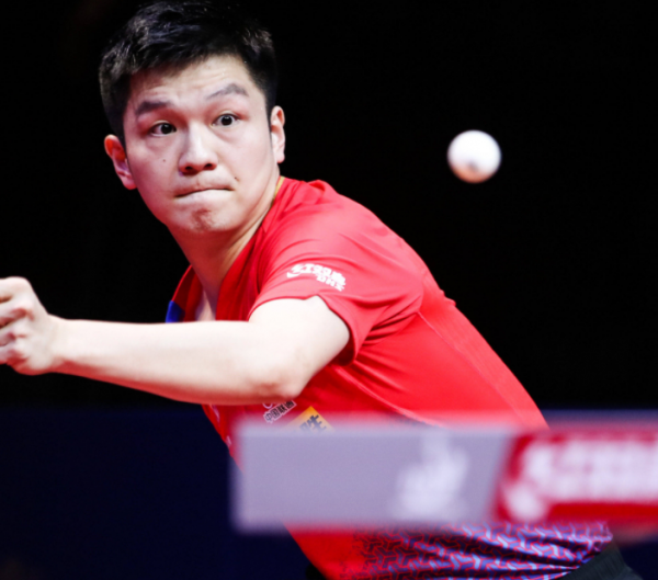 的职业球员 的职业球员